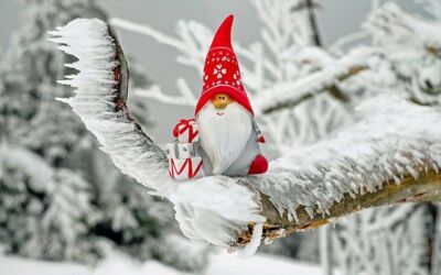 Keine Weihnachtsfeier 2020 wegen Corona?