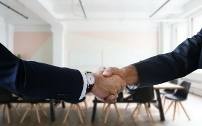Interview-Technik Spatz in der Hand